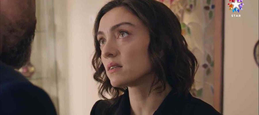 Если король проиграет 24 серия турецкий сериал