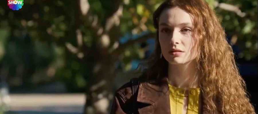 Наследник 6 серия турецкий сериал