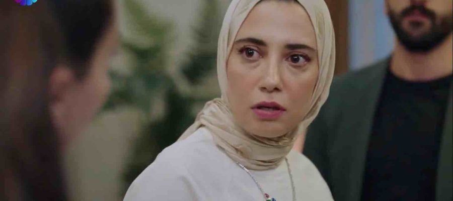 Клюквенный щербет 113 серия турецкий сериал