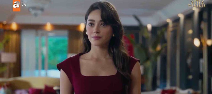 Незнакомец в зеркале 5 серия турецкий сериал