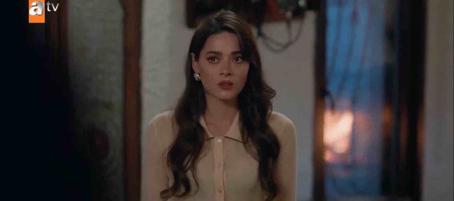 Незнакомец в зеркале 7 серия турецкий сериал