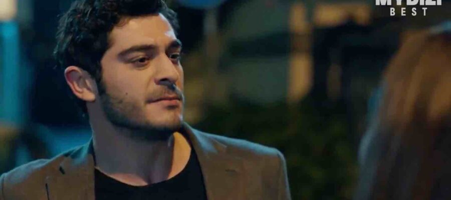 Мошенники 10 серия турецкий сериал